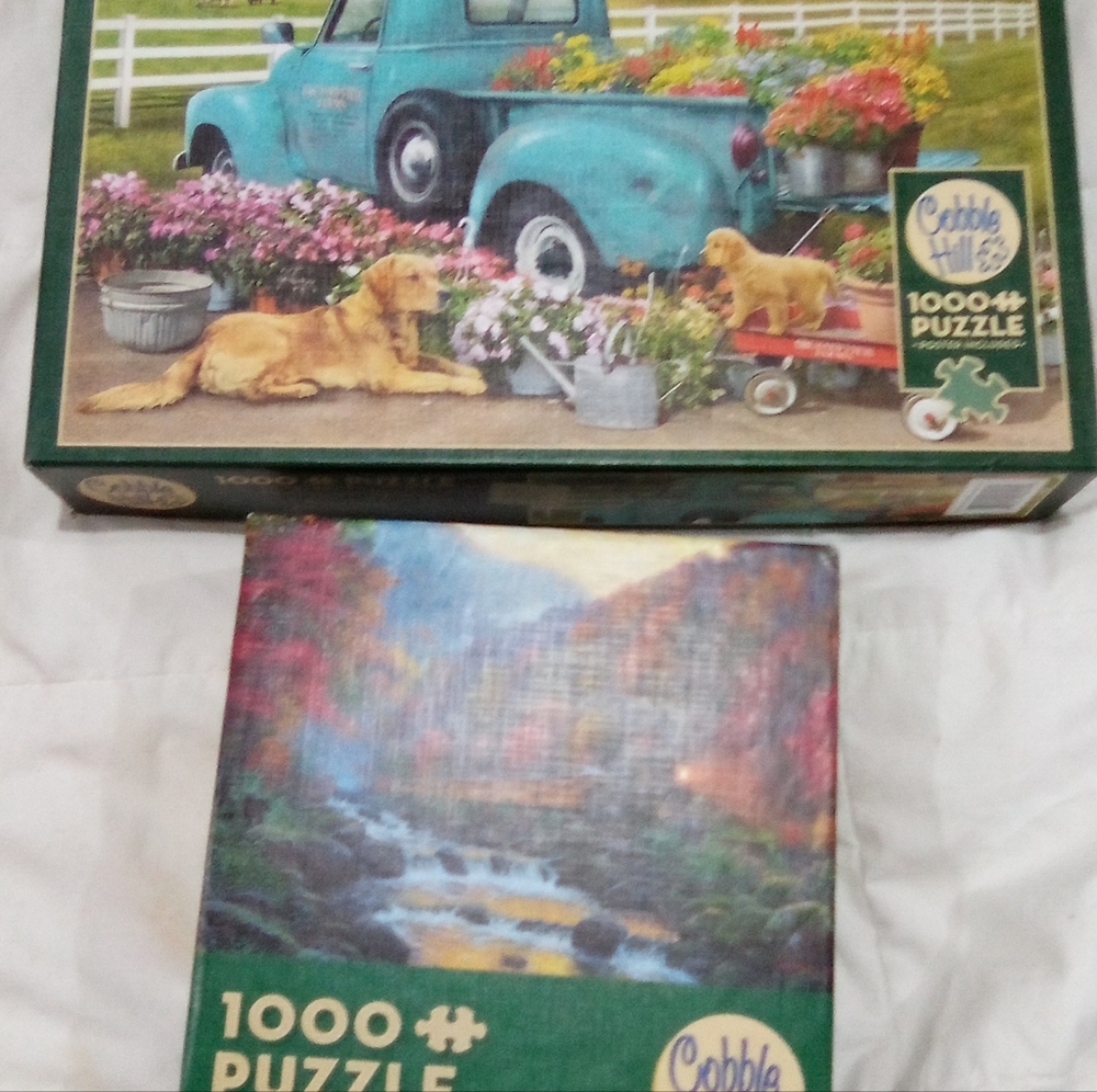Cobble Hill 1000 Piece Puzzle - Green and Blue